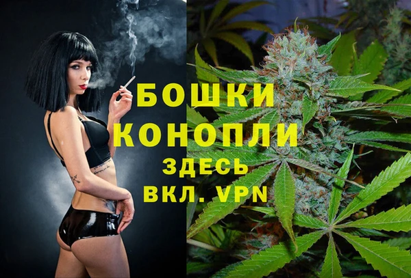 ГАЛЛЮЦИНОГЕННЫЕ ГРИБЫ Вязники